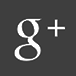 Die Linksfraktion bei Google+